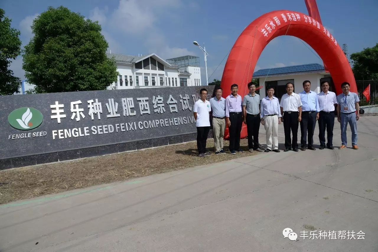 丰乐资讯,探索信息世界的魅力和机遇