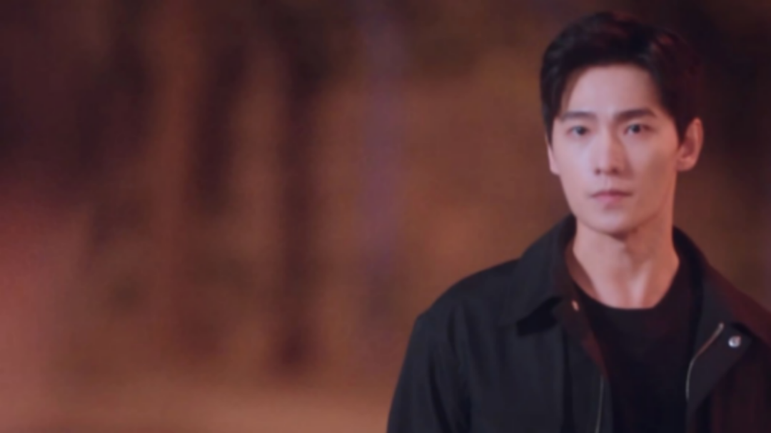 明星男主的魅力与影响力,电视剧中的星光璀璨传奇