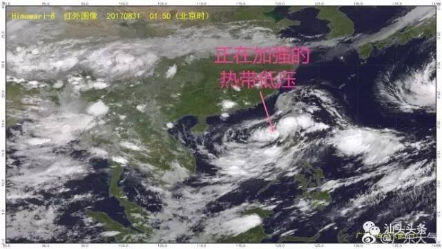 风台玛娃最新动态揭秘,勇往直前,探索未知之旅