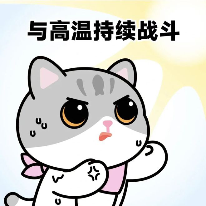 风台玛娃最新动态揭秘,勇往直前,探索未知之旅