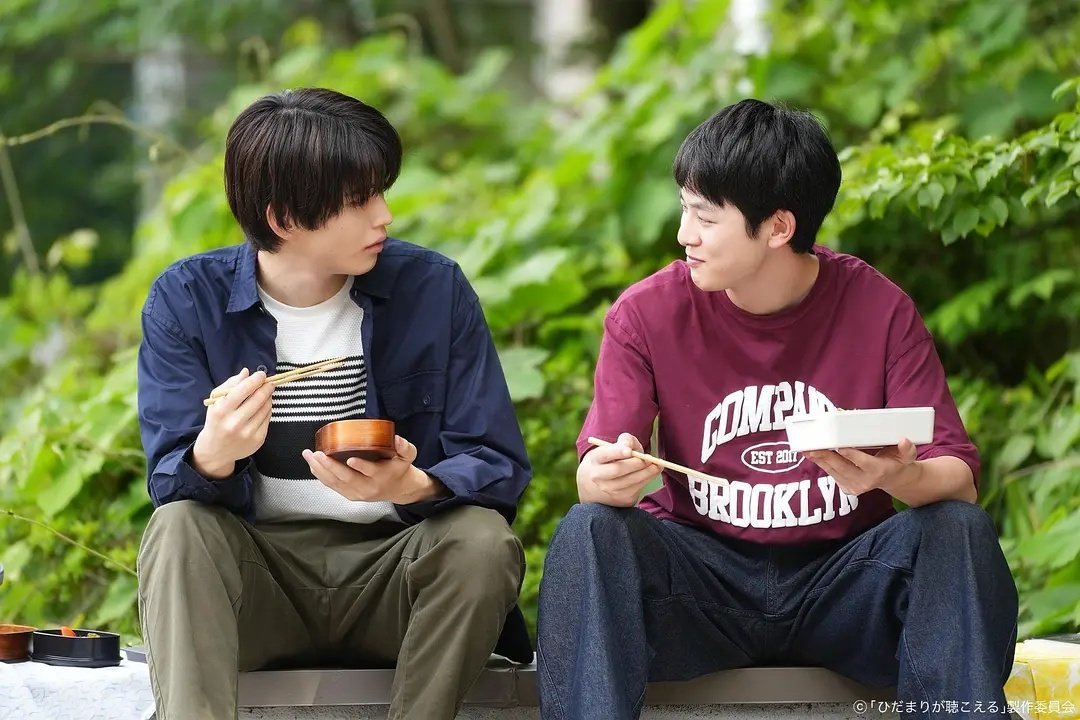 向阳之处必有声电影,视听盛宴的探寻之旅