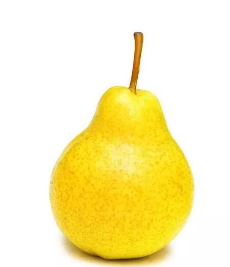 探索泡沫梨最新魅力,自然与创意的完美融合盛宴