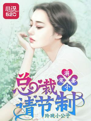 总裁宠溺新篇章,情深如海,爱意无边