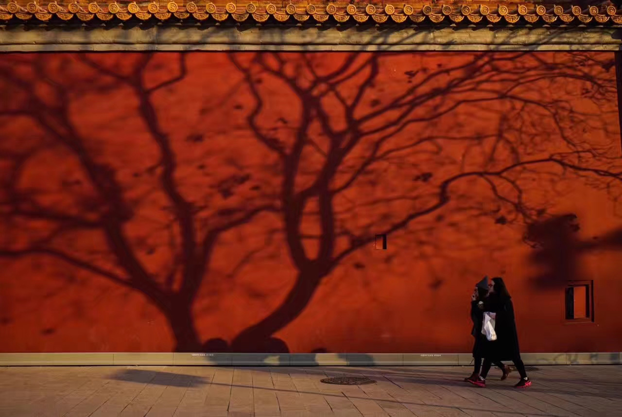 掌握最新摄影技巧,探索光影艺术的无尽魅力