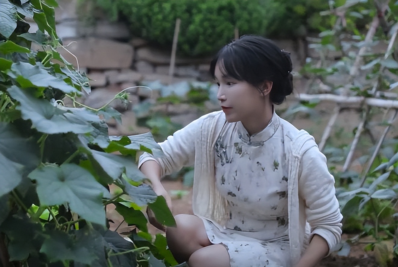 小草社区最新视频展示,文化与创意的盛宴开启时刻!