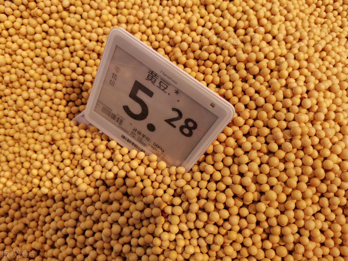 大豆最新价格行情深度解析,市场走势与产业影响探究