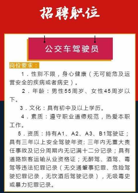 慈溪最新驾驶员招聘启事,共筑美好明天,探索职业新旅程