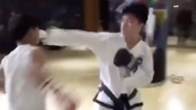 探索未知世界的神秘魅力,最新一期笼中对揭秘之旅