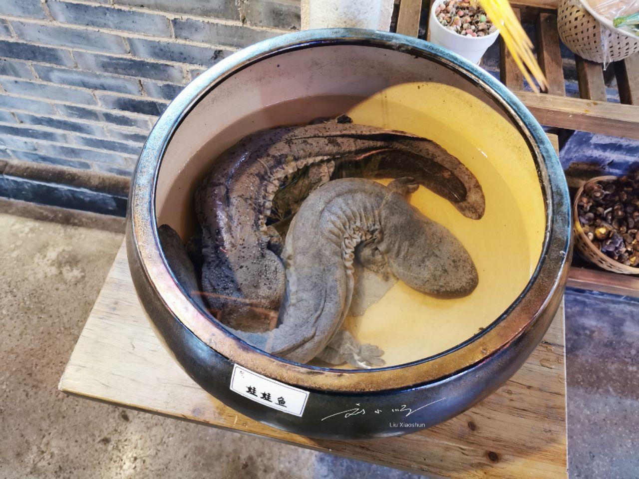 外省回湖南最新规定,重塑家园的温馨与便利之旅