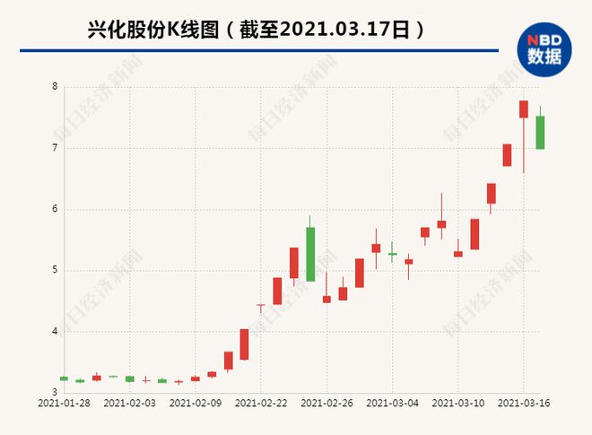 兴化股份引领行业变革,共创辉煌未来新动态