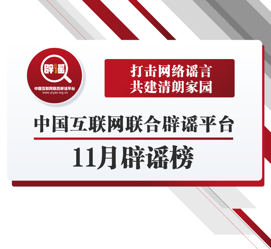 互联网最新新闻,科技与未来交汇,社会脉络一网打尽