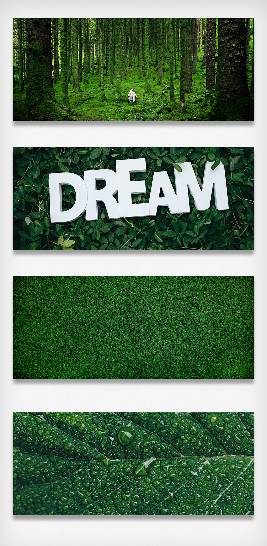 探索小草的奥秘,最新数字之旅启程