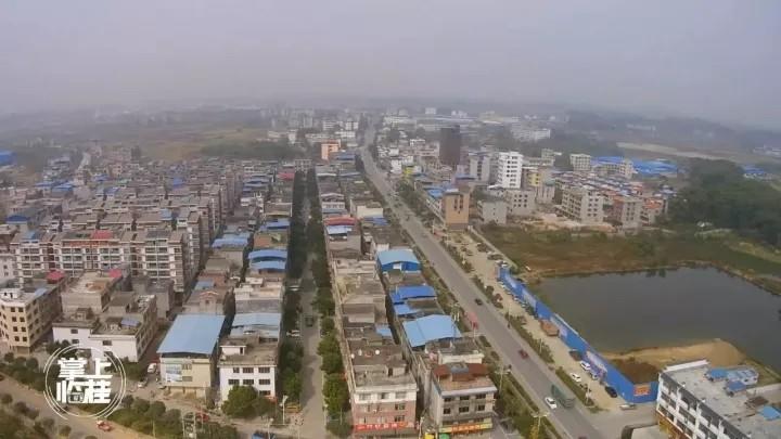 庙岭镇未来蓝图,最新规划展望与未来发展路径