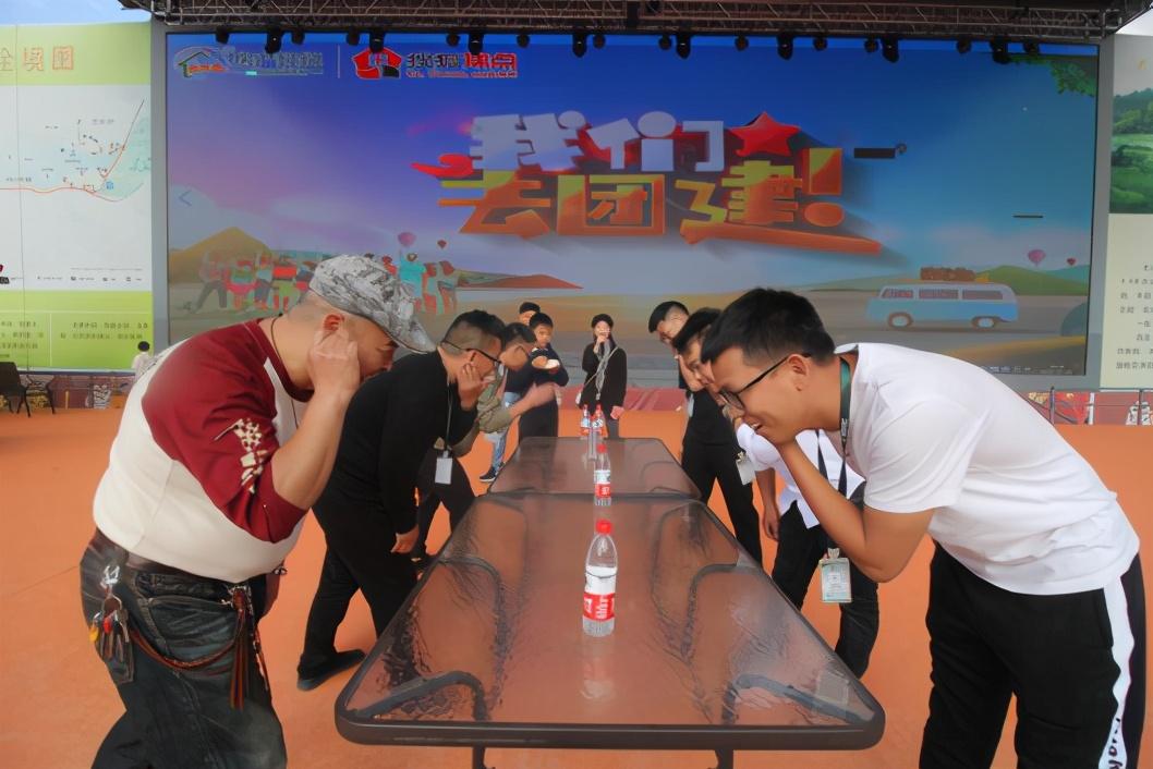 管家婆最新风采,日常生活中的细腻关怀与智慧展现