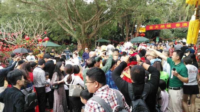 海口新闻头条,探寻最新新闻,感受城市脉搏