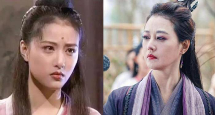 摇钱树最新版本,开启财富增长新纪元