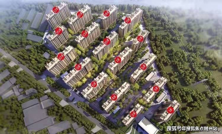 柏堡龙最新动态,引领时尚潮流开启新篇章