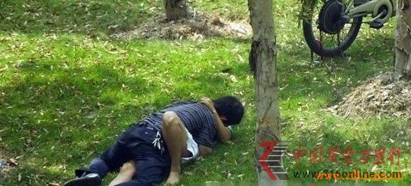 最新打野战,探索未知领域的激情与挑战之旅