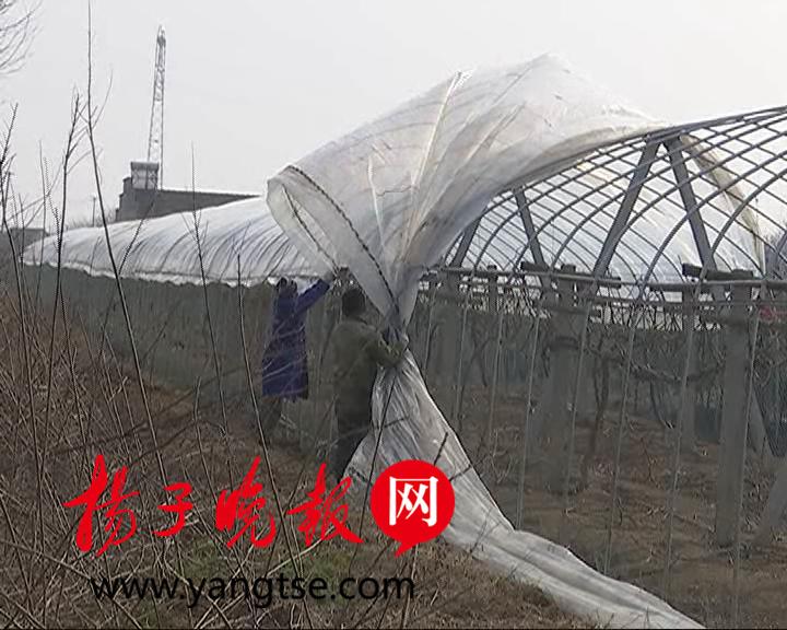 句容天气的最新魅力,自然之美的交响曲