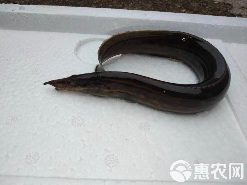 第775页