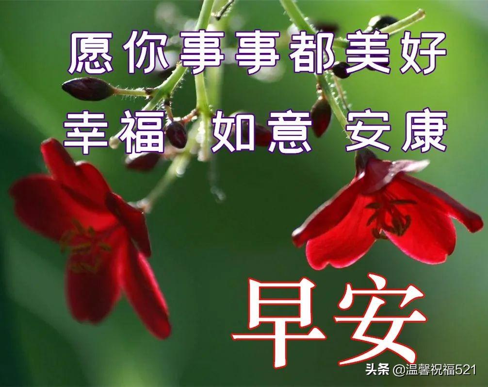 探索打字世界，技术与文化的交融之美最新打字资讯速递