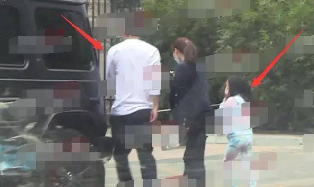 贾乃亮最新动态，展现多元魅力的无限可能性